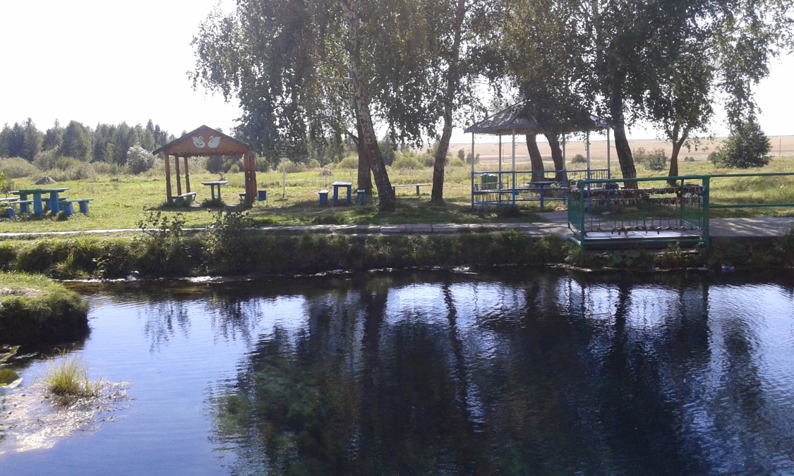 Zalifa, 53, Tuymazy, Russian Federation