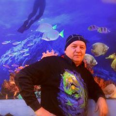 миша шахов, 63, Kharkiv, Ukraine