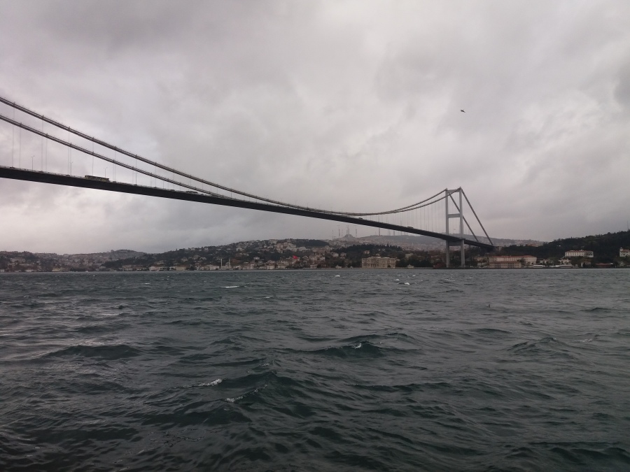 Gökhan, 46, Istanbul, Turkey