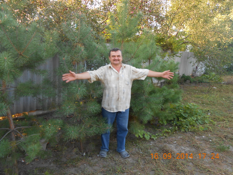 Владимир Набруско, 65, 