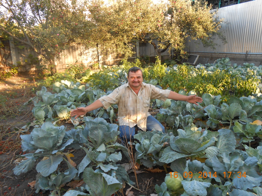 Владимир Набруско, 65, 
