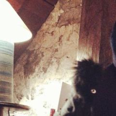 Елена Путинцева, 35, Moscow, Russian Federation