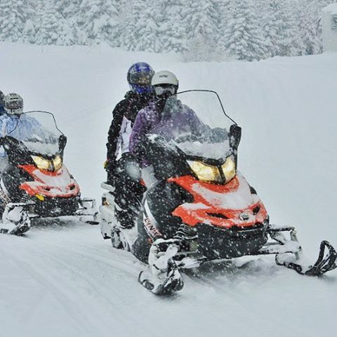 sarkany, 52, Istanbul, Turkey