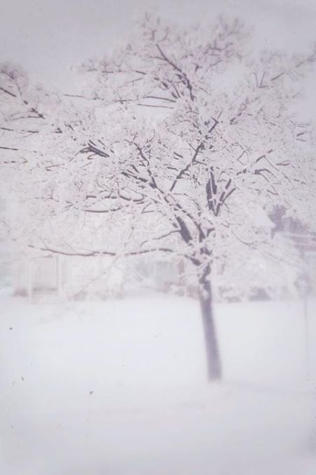 Hye Sun Lee, 36, Herkimer, United States