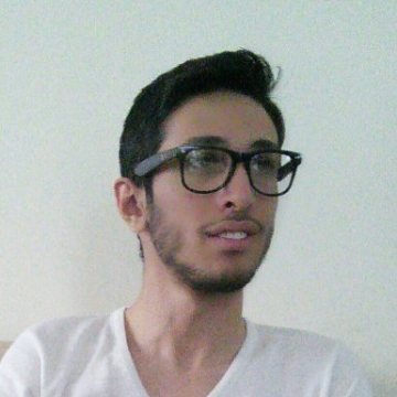 mohamad amin Danaie, 28, New Baltimore, United States