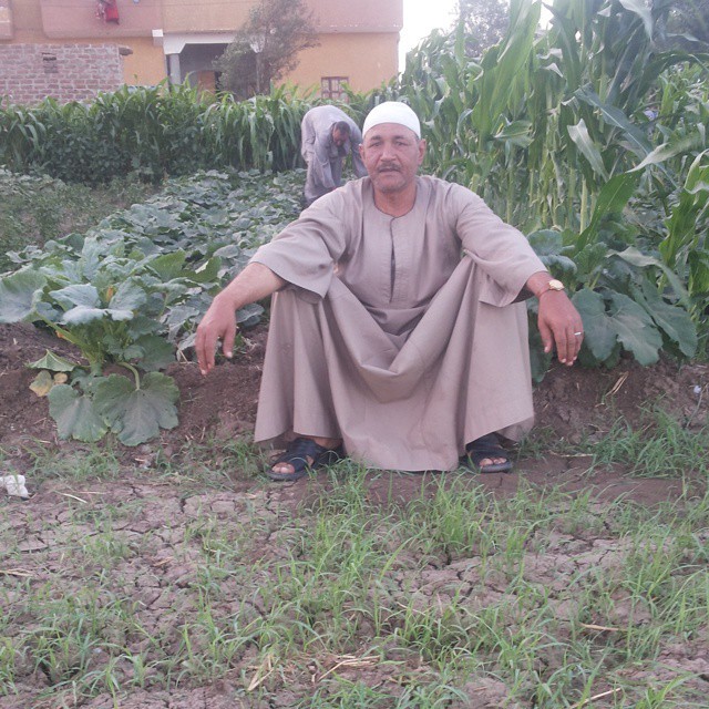 ‫مصر للمصرين‬‎, 66, Cairo, Egypt