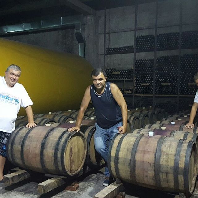 Kote, 51, Tbilisi, Georgia