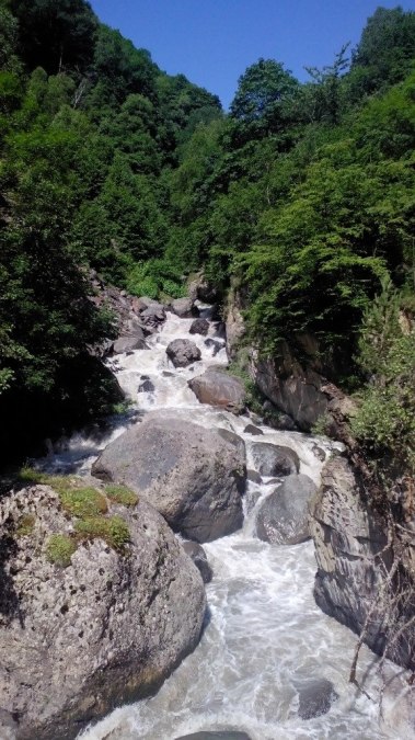 Kote, 51, Tbilisi, Georgia