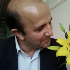 Hadi Afshar, 61, New York, United States