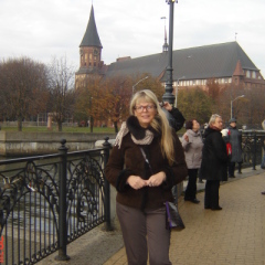 Лена, 59, Saint Petersburg, Russian Federation