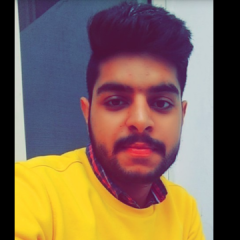 Rahul Wadhwa, 29, Chandigarh, India