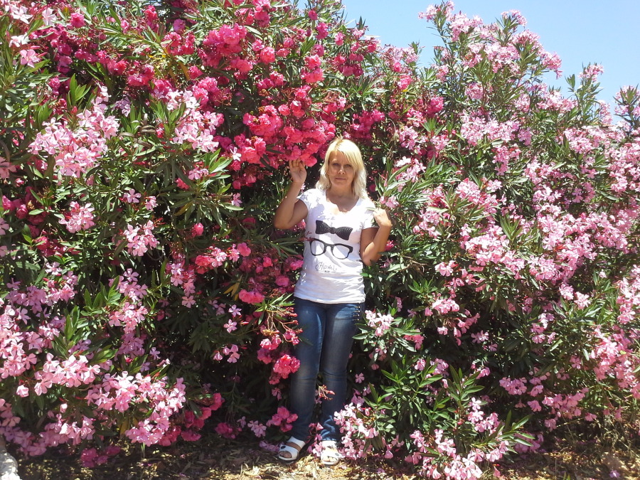 людмила, 58, Dnipro, Ukraine