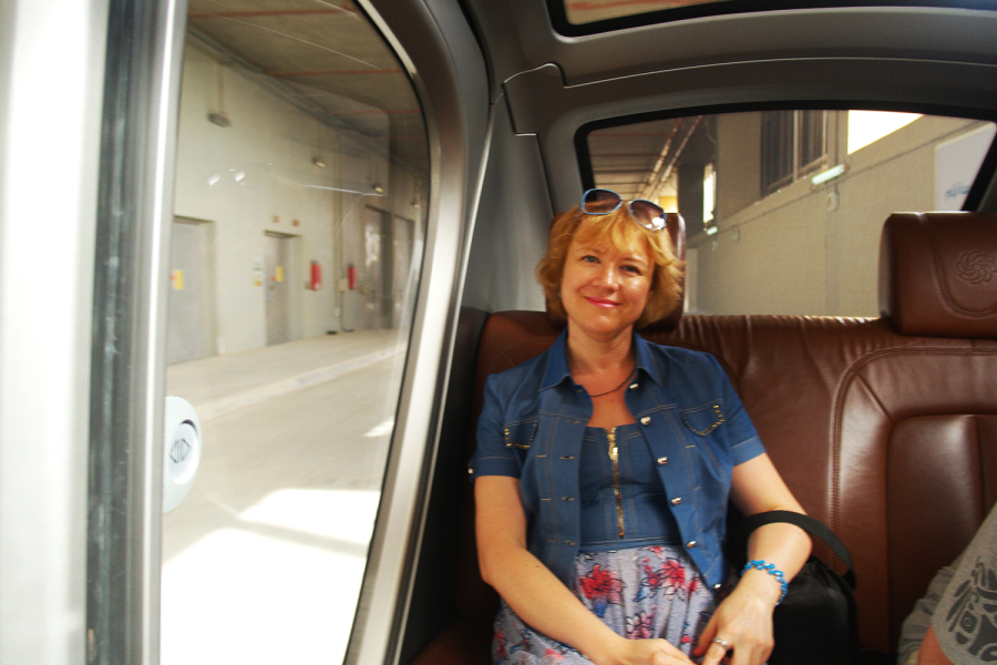 Елена Логинова, 51, Kirov, Russian Federation