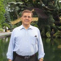 larry, 62, Toronto, Canada