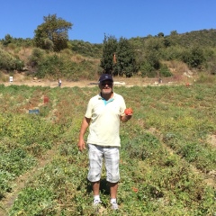 Ömer, 65, Istanbul, Turkey