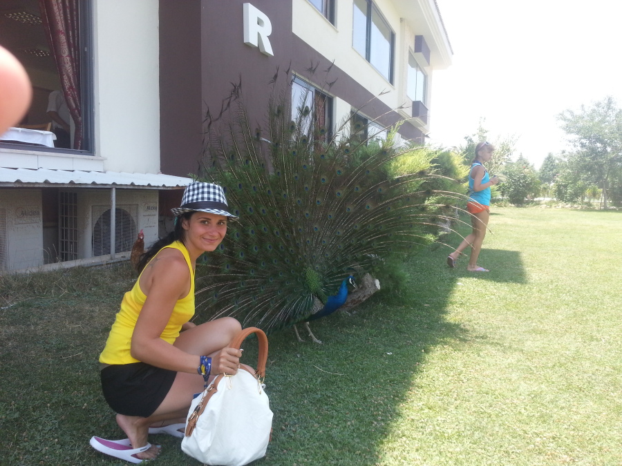 Виктория, 37, Kharkov, Armenia