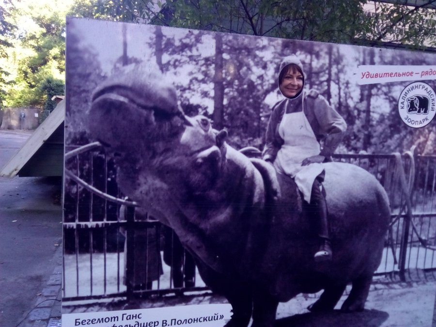 OLGA, 56, Kaliningrad, Russian Federation