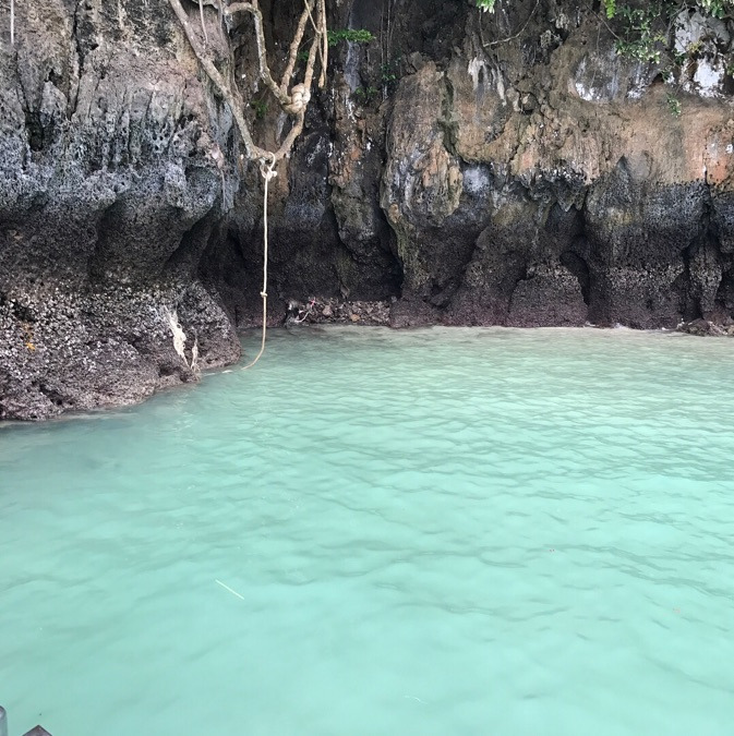 Ankit Jain, 37, Pune, India