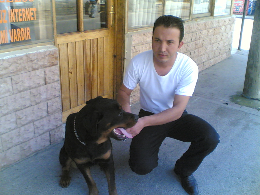 stoploss, 47, Izmir, Turkey