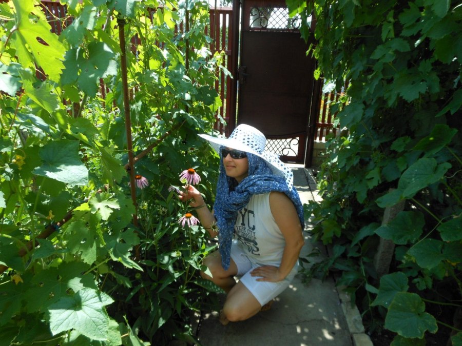 Татьяна, 59, Dnipro, Ukraine