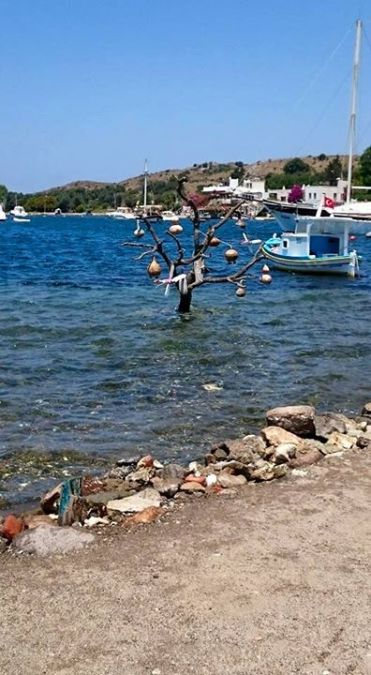 Gökçe Üçer, 58, Eskishehir, Turkey