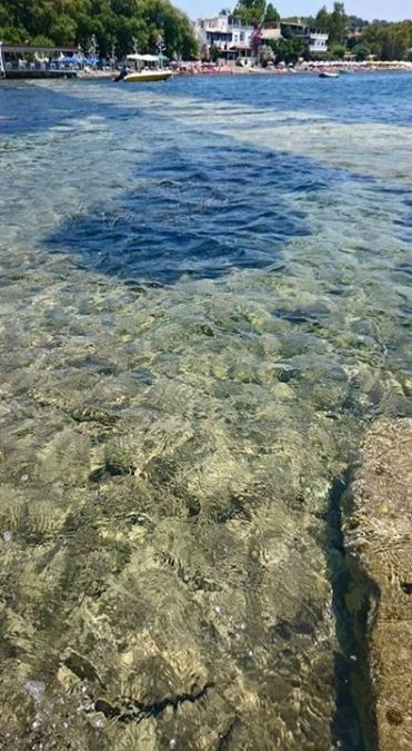 Gökçe Üçer, 58, Eskishehir, Turkey