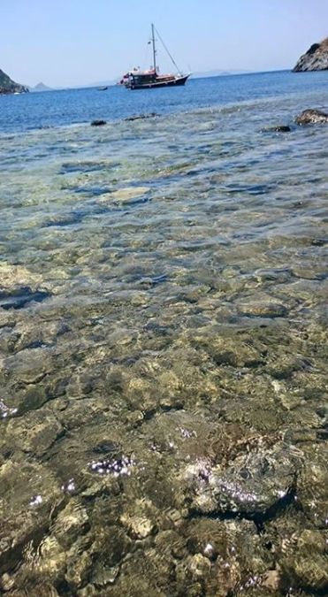 Gökçe Üçer, 58, Eskishehir, Turkey