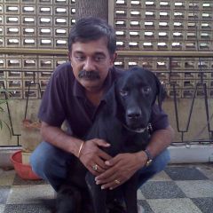 Roy K.George, 57, Chennai, India