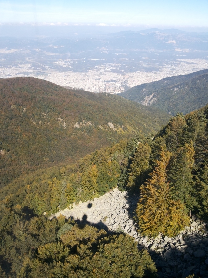 Rami, 47, Khobar, Saudi Arabia