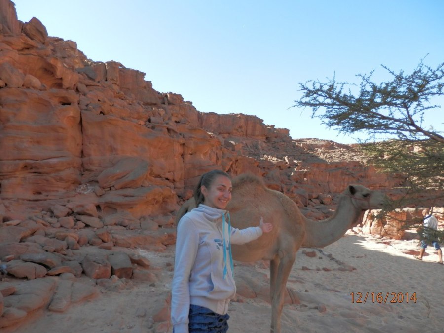 Наталья Суханова, 38, Dnipro, Ukraine