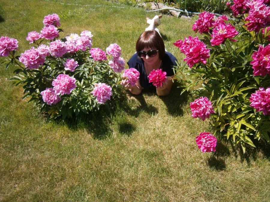 Татьяна, 60, Barnaul, Russian Federation