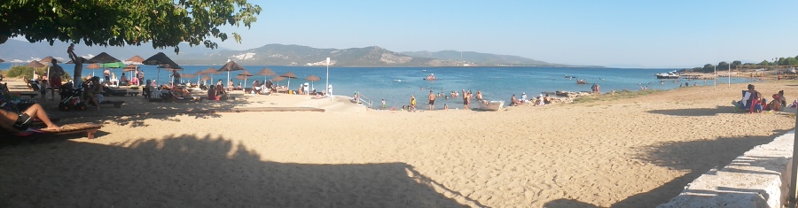 BlueBird, 50, Izmir, Turkey