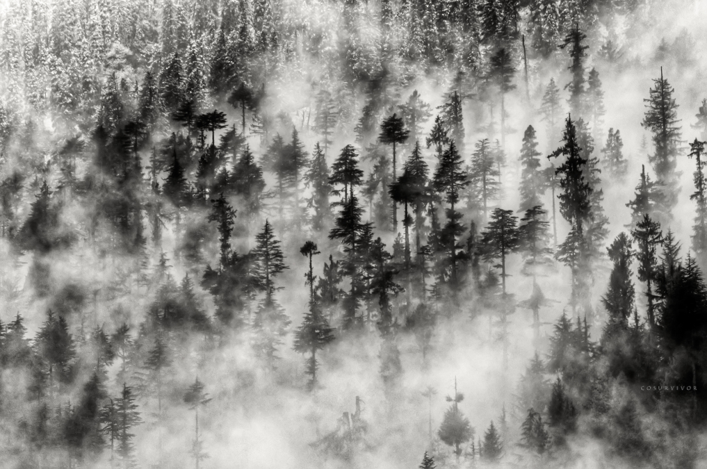 Rohit, 47, New Delhi, India