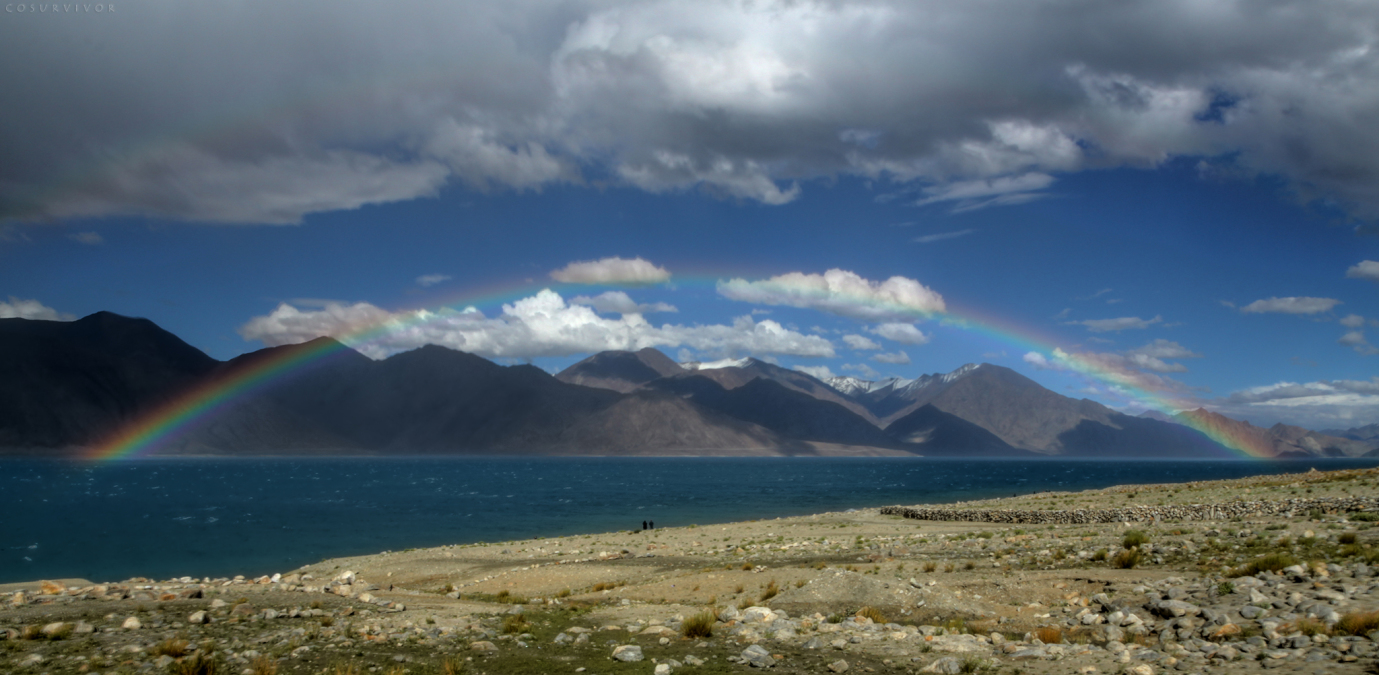 Rohit, 47, New Delhi, India