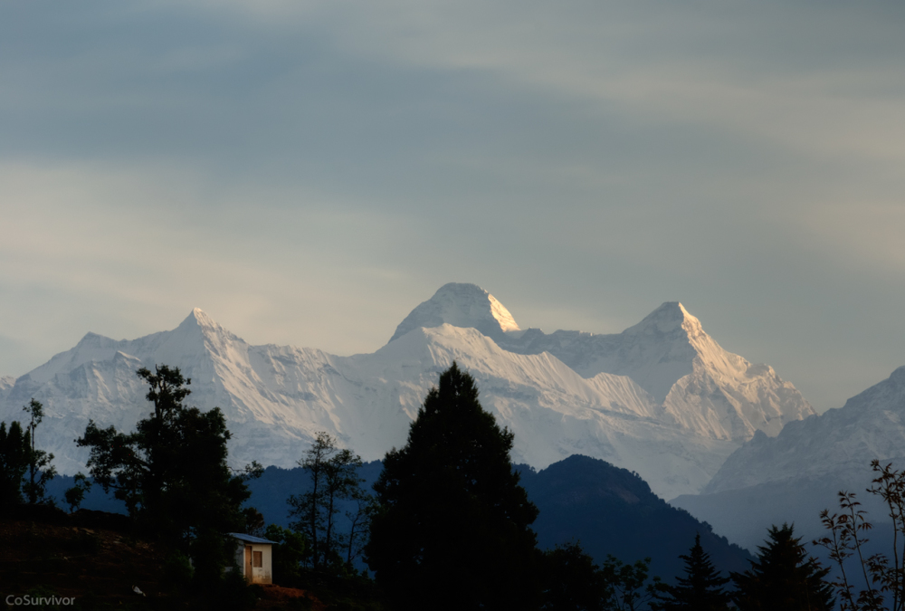 Rohit, 47, New Delhi, India