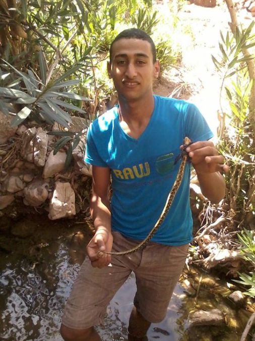 mostafa belhadi, 31, Fes, Morocco