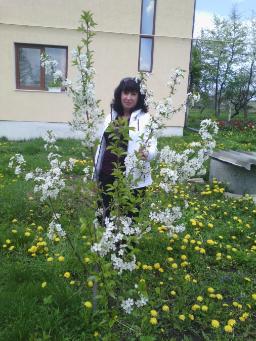Марія, 67, Chernivtsi, Ukraine