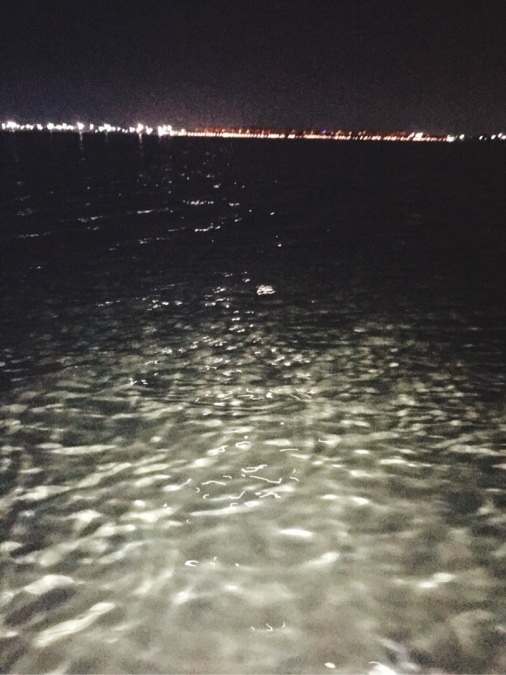 Fallah Faisal, 28, al-Jubayl, Saudi Arabia