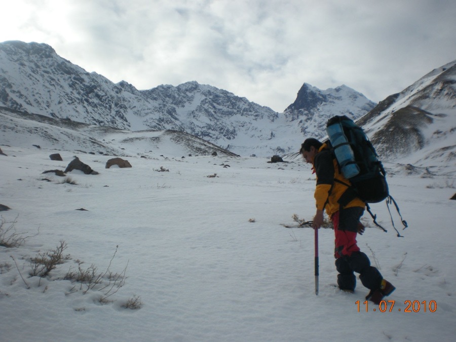 Juliovidela Garrido, 59, Santiago, Chile