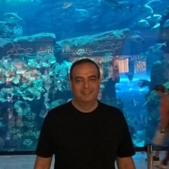 Agave, 56, Dubai, United Arab Emirates