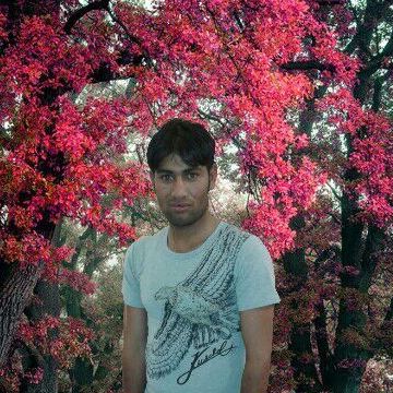 shoyab, 31, Bishah, Saudi Arabia