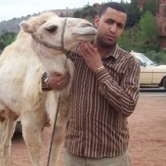 mustapha, 42, Marrakesh, Morocco