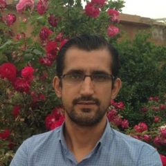 hawzhin, 44, Sulaimaniya, Iraq