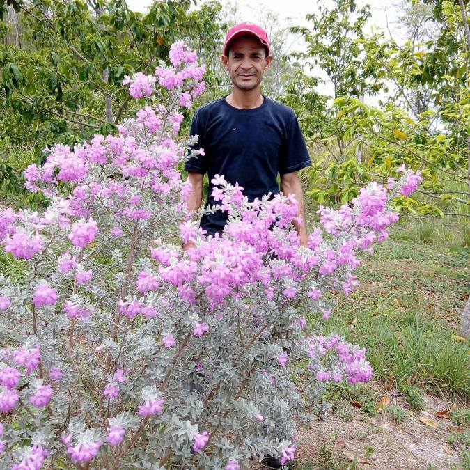 robert franco, 48, Bolivar, Venezuela