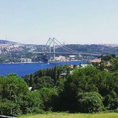 turgay, 39, Istanbul, Turkey