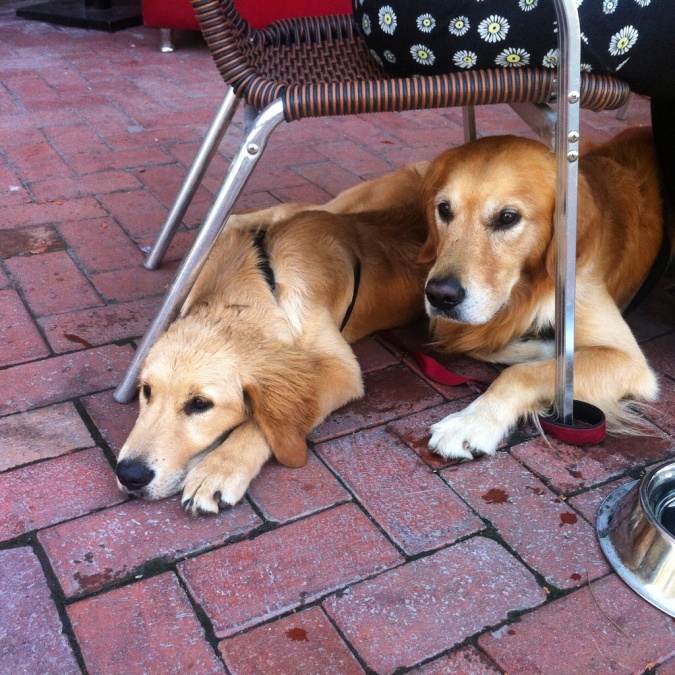 Taner Demirer, 53, Bodrum, Turkey